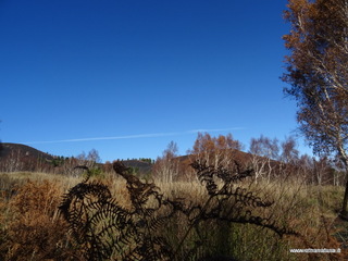 nti Sartorius-14-11-2017 11-53-45